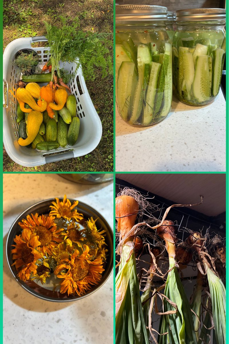 Favorite time of the year 🌺