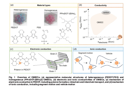 ASMEJournals's tweet image. This review explains the #mechanics and dynamics of organic mixed ionic-electronic conductors. asmedigitalcollection.asme.org/appliedmechani…
#electrodes #polymers