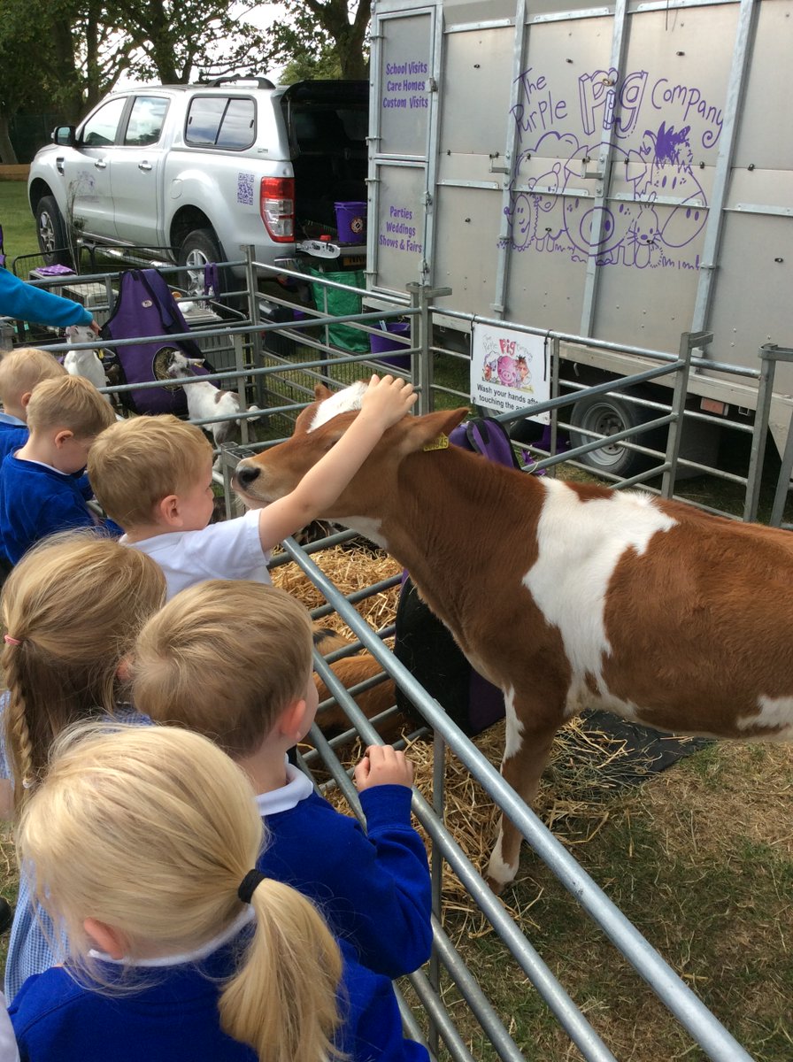 Patrington Academy tweet media