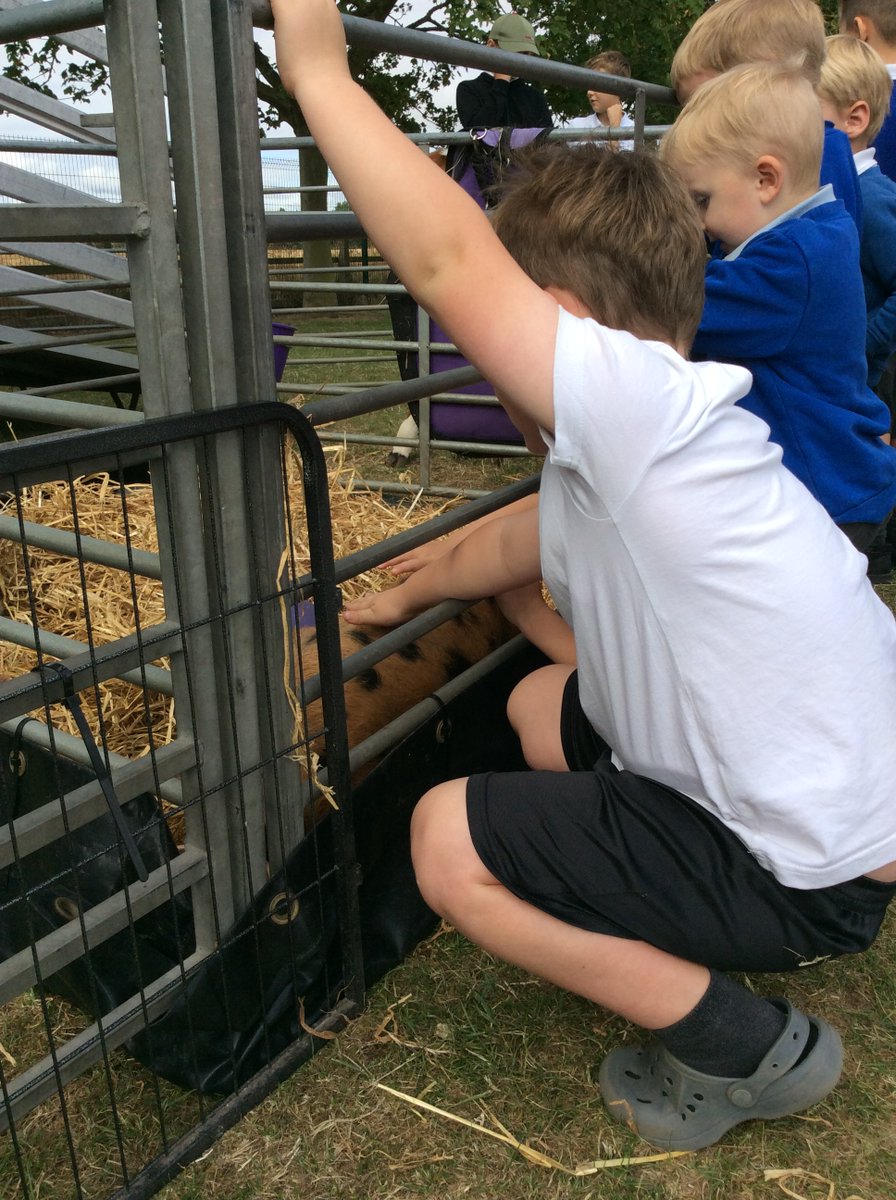 Patrington Academy tweet media