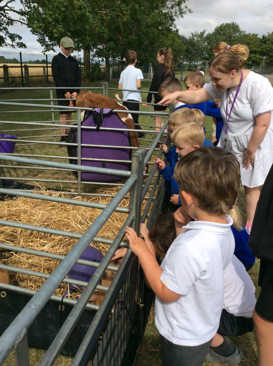 Patrington Academy tweet media