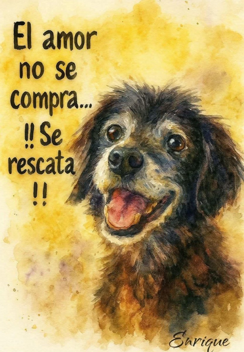 EYA (@eyacar65) on Twitter photo <a href="/Uriel66689314/">Uriel</a> <a href="/nydiacervera/">Nydia Cervera</a> <a href="/Marilu86053/">Marilú 💕🐘🐘🐘💕 🇲🇽</a> <a href="/addy_pink/">Pinky</a> <a href="/U_PLATEROS/">UH Plateros</a> <a href="/antymob/">Miss Anty Mobarak</a> <a href="/mtz_tt/">B€TT¥ ツ</a> <a href="/DaliaMRocha/">Yaya Rocha</a> <a href="/EsEstra/">A L I 🐾</a> <a href="/lasaguis/">lasg</a> <a href="/LETICIA777/">LETICIA TORRES</a> <a href="/Negra_start/">Ⓝⓔⓖⓡⓐ</a> <a href="/rumabo1/">Pata perruna 🐾🐾</a> <a href="/MARLENE_STAHL/">MARLENE 🦋</a> <a href="/Hera_Sea/">★ FRECDA, CAPÍTULO SAN LUIS POTOSÍ</a> <a href="/Vivalyk/">♓⭐🍒 Bárbariux 🍒⭐❤&💫</a> <a href="/akyoshi09/">Fabiola</a> <a href="/hidra881/">Teresa Velazquez Rodriguez</a> <a href="/duky1107/">Claudia</a> <a href="/pip/">Phil</a> <a href="/CasLaaU/">Soy Lau. 💜🍉</a> <a href="/MxActivista/">🐾ActivistaMX🌎</a> <a href="/1pantonio/">Antonio Palacios: Las mujeres no tienen pene</a> <a href="/raquelgarzac/">raquel garza</a> <a href="/iztalccihuatl/">Mary Sandoval 6476❤**</a> <a href="/gllgina1/">Gina..🌷</a> <a href="/Froggieland/">Anny Reyes</a> <a href="/zzamor_animais/">Maria José - Animais</a> <a href="/Lacasadelsalchi/">La casa del perro Salchicha CDMX</a> <a href="/SOSsalchichas/">Salchibukis …🆘 salchichas al rescate</a> <a href="/mariana_rizo/">Mariana Rizzo</a> <a href="/mayumiguillen/">Mayú Guillén 🇲🇽🇺🇦</a> <a href="/Pattygb5/">Pattygb 🇲🇽</a> #Adoptarsalvavidas #Noalmaltratoanimal saludos Uri 🌹 y grupo ❤️ tengan un lindo día 🌞 😸🐶🐾 <a href="/Uriel66689314/">Uriel</a> <a href="/nydiacervera/">Nydia Cervera</a> <a href="/Marilu86053/">Marilú 💕🐘🐘🐘💕 🇲🇽</a> <a href="/addy_pink/">Pinky</a> <a href="/U_PLATEROS/">UH Plateros</a> <a href="/antymob/">Miss Anty Mobarak</a> <a href="/mtz_tt/">B€TT¥ ツ</a> <a href="/DaliaMRocha/">Yaya Rocha</a> <a href="/EsEstra/">A L I 🐾</a> <a href="/lasaguis/">lasg</a> <a href="/LETICIA777/">LETICIA TORRES</a> <a href="/Negra_start/">Ⓝⓔⓖⓡⓐ</a> <a href="/rumabo1/">Pata perruna 🐾🐾</a> <a href="/MARLENE_STAHL/">MARLENE 🦋</a> <a href="/Hera_Sea/">★ FRECDA, CAPÍTULO SAN LUIS POTOSÍ</a> <a href="/Vivalyk/">♓⭐🍒 Bárbariux 🍒⭐❤&💫</a> <a href="/akyoshi09/">Fabiola</a> <a href="/hidra881/">Teresa Velazquez Rodriguez</a> <a href="/duky1107/">Claudia</a> <a href="/pip/">Phil</a> <a href="/CasLaaU/">Soy Lau. 💜🍉</a> <a href="/MxActivista/">🐾ActivistaMX🌎</a> <a href="/1pantonio/">Antonio Palacios: Las mujeres no tienen pene</a> <a href="/raquelgarzac/">raquel garza</a> <a href="/iztalccihuatl/">Mary Sandoval 6476❤**</a> <a href="/gllgina1/">Gina..🌷</a> <a href="/Froggieland/">Anny Reyes</a> <a href="/zzamor_animais/">Maria José - Animais</a> <a href="/Lacasadelsalchi/">La casa del perro Salchicha CDMX</a> <a href="/SOSsalchichas/">Salchibukis …🆘 salchichas al rescate</a> <a href="/mariana_rizo/">Mariana Rizzo</a> <a href="/mayumiguillen/">Mayú Guillén 🇲🇽🇺🇦</a> <a href="/Pattygb5/">Pattygb 🇲🇽</a> #Adoptarsalvavidas #Noalmaltratoanimal saludos Uri 🌹 y grupo ❤️ tengan un lindo día 🌞 😸🐶🐾