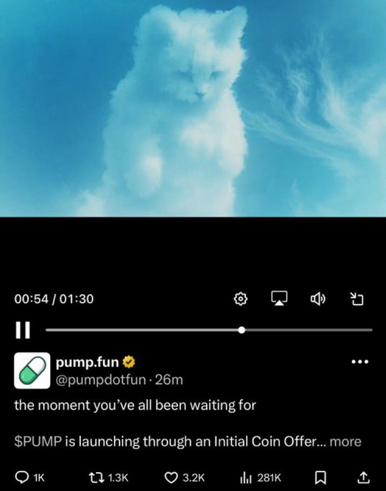 Is that <a href="/michionsolana/">michi</a> $MICHI in the <a href="/pumpdotfun/">pump.fun</a> $PUMP ICO video?