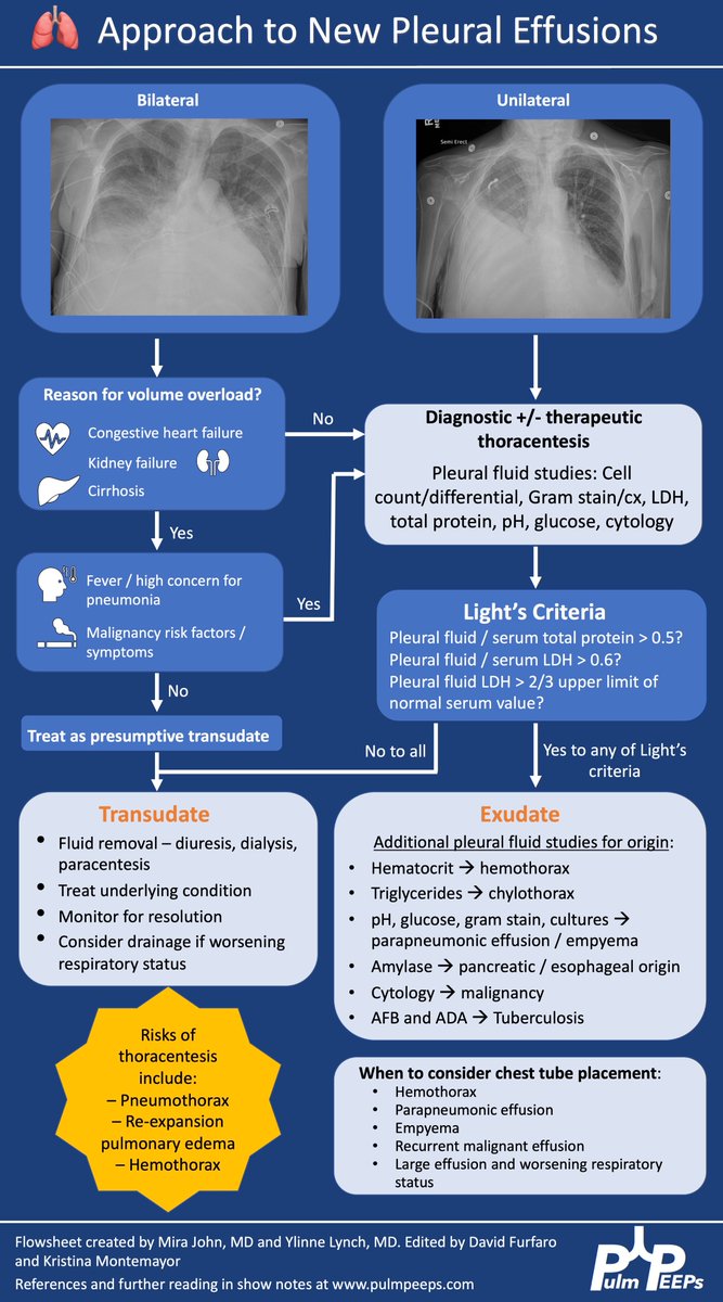 PulmPEEPs's tweet image. We can't get enough of pleural effusions!! We were so excited to go on @COREIMpodcast to discuss some pearls around pleural effusion diagnosis and management.
If you want more, check out our episodes on effusions, empyema, and malignant effusions!
pulmpeeps.com/2025/07/09/104…