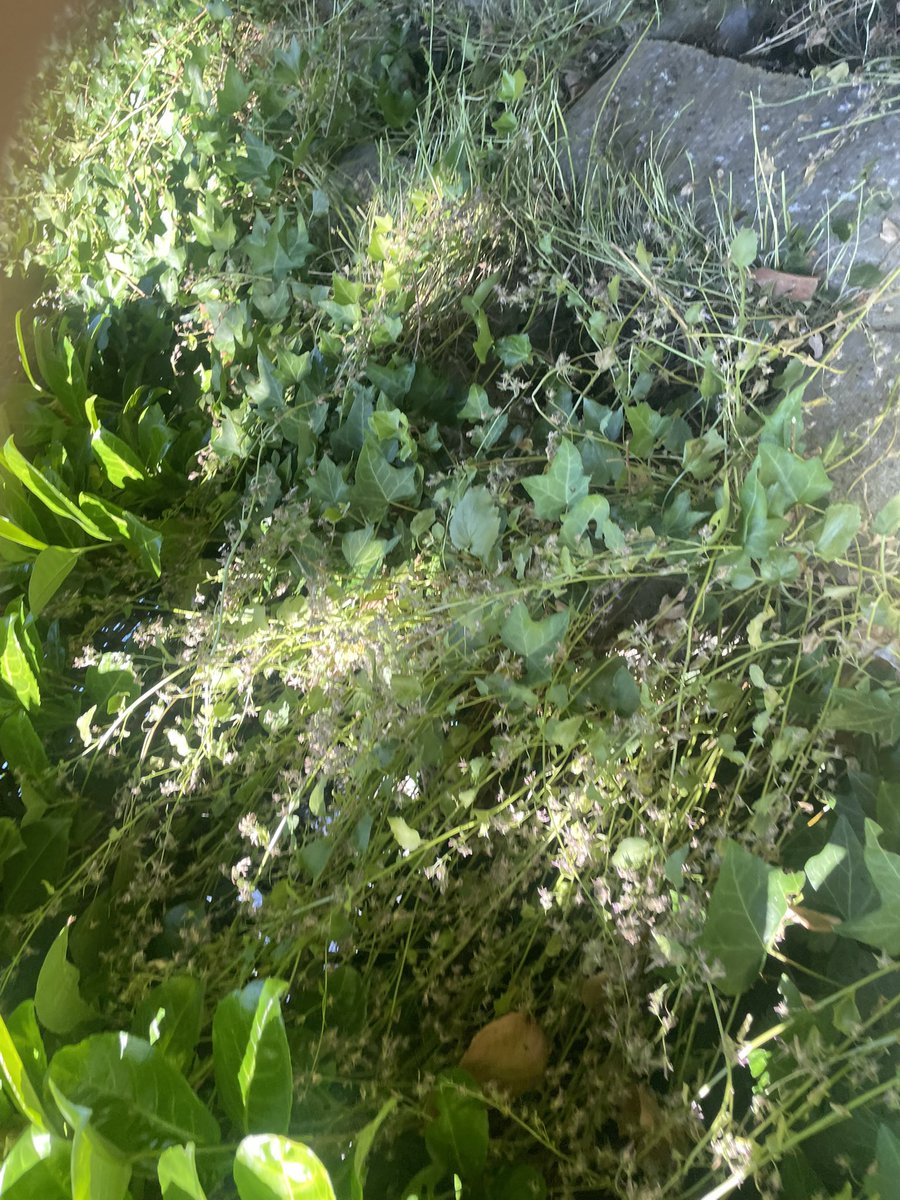 Heute Gartenarbeiten angesagt.