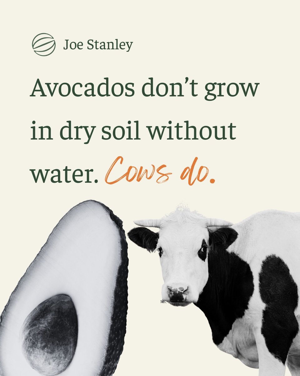 scribehound's tweet photo. "The case for rehabilitating the reputation of ruminants, those much maligned agents of a regenerative revolution."

Joe Stanley writes on #ScribehoundCountryside

Read more  - https://t.co/upVTMprDLE https://t.co/iFZ99bNhuF