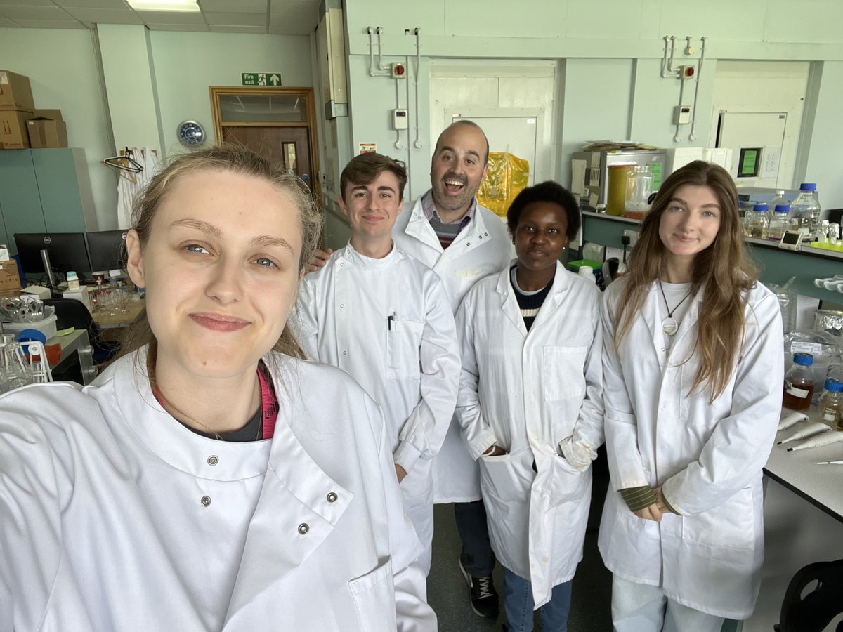 MauroRin85's tweet image. Excited to welcome Paige to the lab for her @BiochemSoc Summer Vacation Studentship! She’ll be exploring how lipid transporters can boost terpenoid biomanufacturing. Big thanks to Ella Wylie & the rest of the lab for your support! 👩🔬🧪 #SyntheticBiology #UndergradResearch