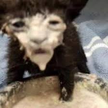 jakewebber's tweet photo. https://t.co/Bz3ogwy2aq