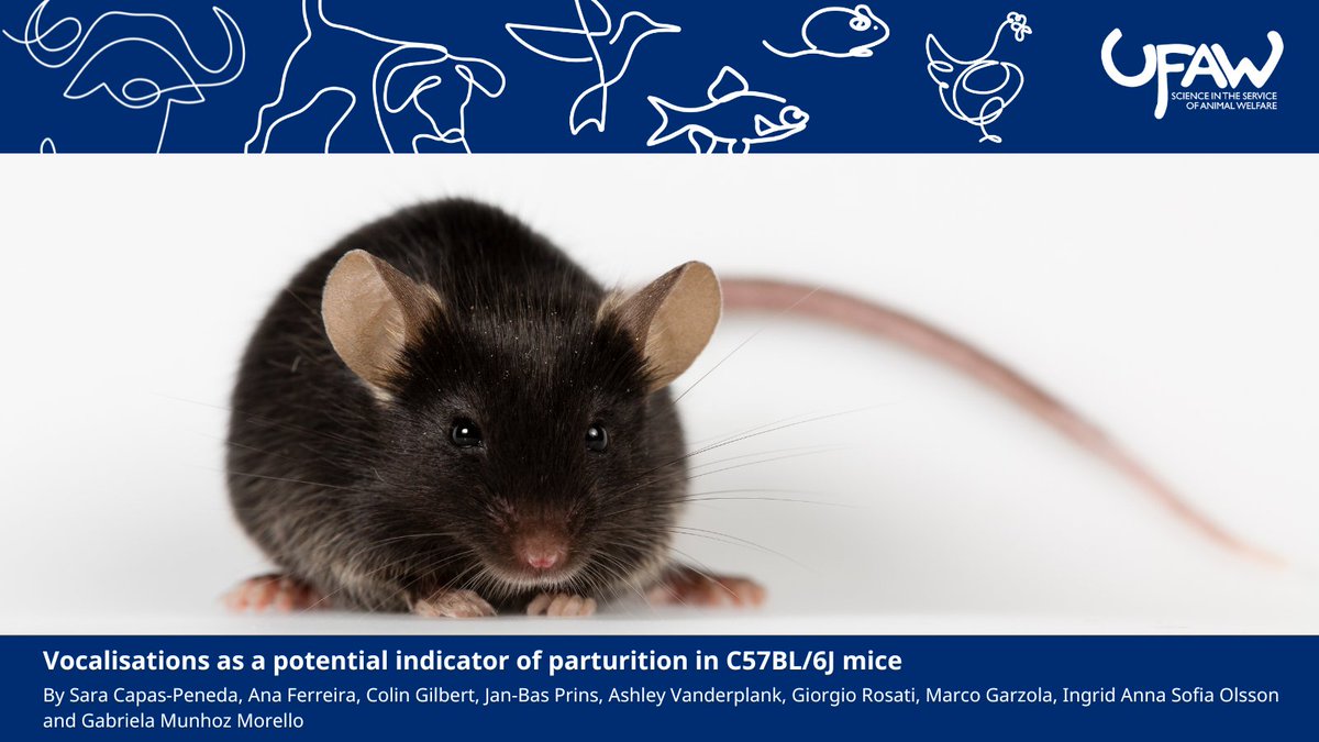 AW_TheJournal's tweet image. π NEW STUDY investigates whether vocalisations can be used to predict the onset of birth in C57BL/6J mice.
π Read the full article here: ow.ly/3O4i50Wn75M
#AnimalWelfareScience