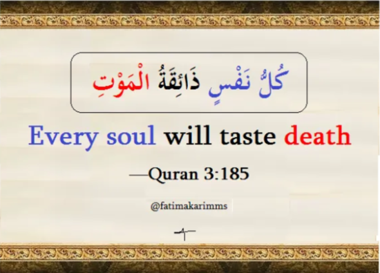 #تدفین_شہدائے_کربلا #TLP_RejectsAbrahamAccords 
“Every soul will taste death.”      
-  Qur’an 3:185
