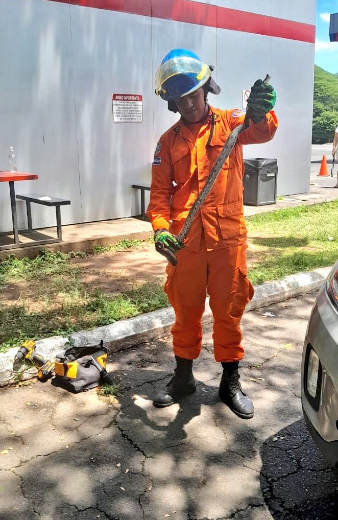 🚨 Retiran serpiente de motor de vehículo en Pasaquina
El Cuerpo de <a href="/BomberosSV/">Bomberos El Salvador 🧑‍🚒🚒🇸🇻</a> atendió un llamado en Pasaquina, La Unión, donde una serpiente fue localizada al interior del motor de un vehículo.

El reptil fue retirado sin causar daños y posteriormente liberado en su hábitat.