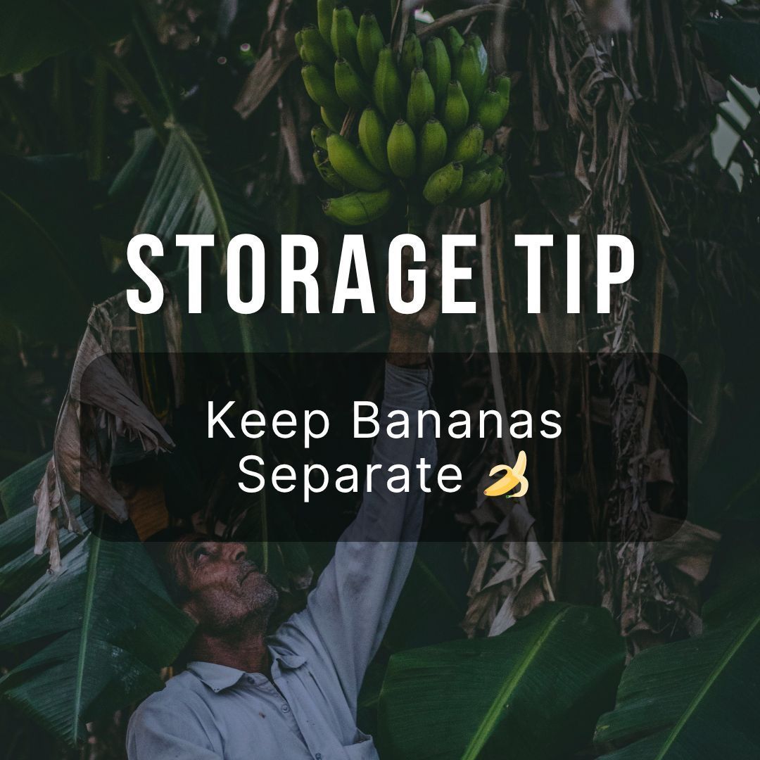 spoilsaver's tweet photo. Keep your bananas separate to slow ripening and make them last longer!
Why? Bananas release ethylene gas, which speeds up the ripening of nearby fruit — including each other.
So give ‘em some space and stretch your snack time. 🍌

#BananaHack #FoodStorageTips #SpoilSaverTips #KitchenHacks #WasteLessLiveMore #FruitStorage #SustainableLiving #FoodSmart #FoodWasteWarrior #SpoilSaver