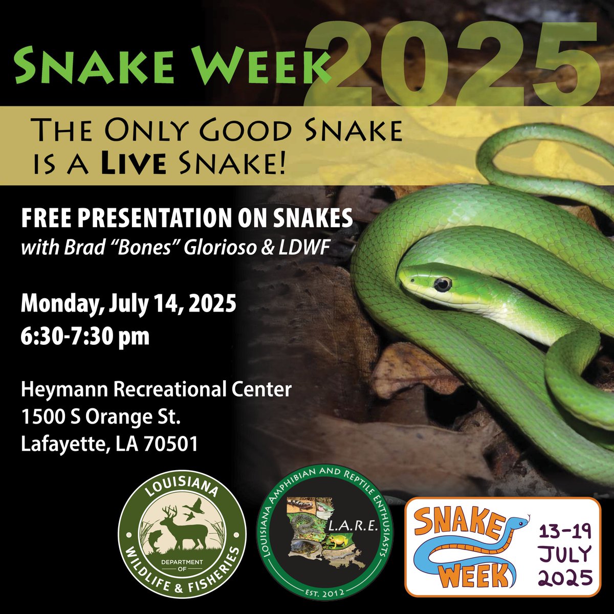 LaWildlife&Fisheries (@ldwf) on Twitter photo ๐ The only good snake is a LIVE snake! Want to know why?
Join Brad โBonesโ Glorioso & LDWF for a FREE snake presentation covering myths, ID tips, reducing encounters & more.
Stick around to see (or hold!) live snakes. No ๐ฉ๐ช๐ด๐ด-๐ต๐ฆ๐ณ๐ช๐ข, just the facts! ๐ #LDWF #Snakes ๐ The only good snake is a LIVE snake! Want to know why?
Join Brad โBonesโ Glorioso & LDWF for a FREE snake presentation covering myths, ID tips, reducing encounters & more.
Stick around to see (or hold!) live snakes. No ๐ฉ๐ช๐ด๐ด-๐ต๐ฆ๐ณ๐ช๐ข, just the facts! ๐ #LDWF #Snakes
