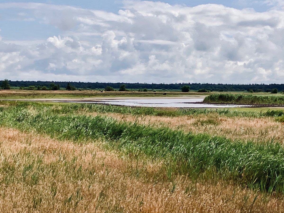 EconomicEthics's tweet photo. #Prerow #Darss Bodden-Tour (Prerow-Wieck-Born-Prerow) 2025 https://t.co/VrZVOis7UV