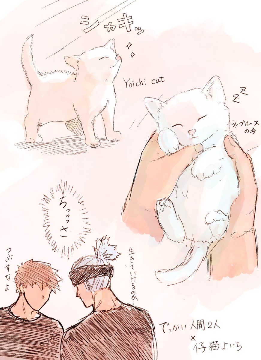 あおむらさき tweet media