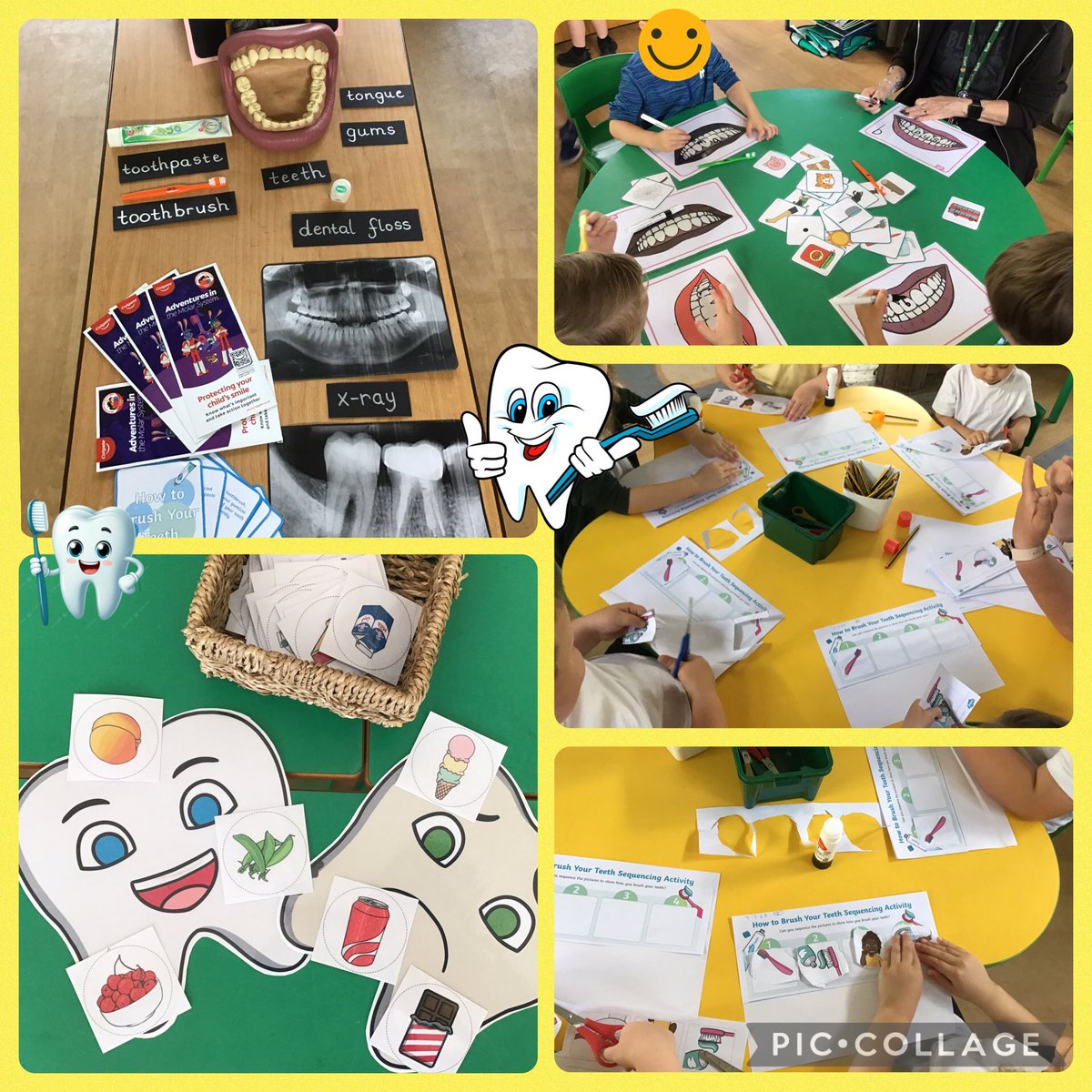 The children have enjoyed learning about how to keep their teeth healthy and strong this week.