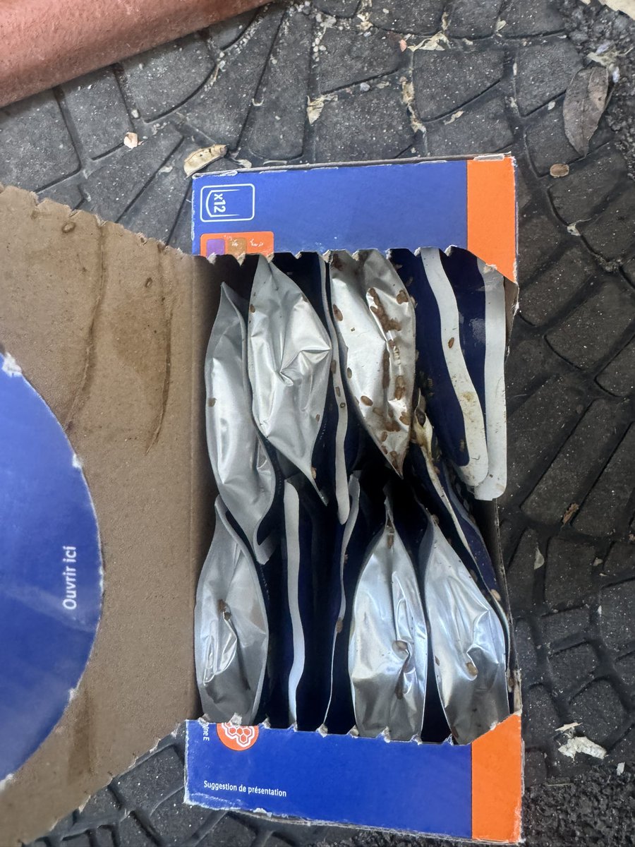 VirginyLa's tweet photo. @LidlFrance Hier j’ai acheté de la pâtée pour chat infestée d’asticots. L’odeur a contaminé toute ma maison. J’ai dû jeter mes courses, désinfecter mon frigo, rater ma matinée de travail.
3 appels, aucun suivi. Si pas de rappel rapide, je saisis @DGCCRF. https://t.co/enPHBulyC7