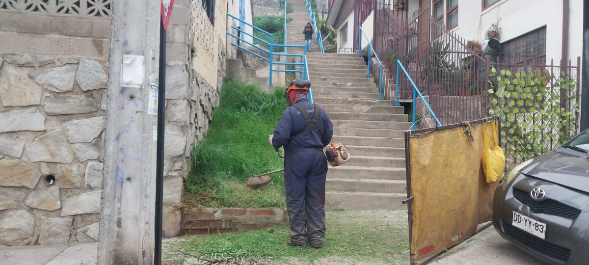 🌿 Seguimos cuidando Viña del Mar

Realizamos labores de desmalezado en el plan de la ciudad, con el objetivo de mantener nuestros espacios públicos más limpios, seguros y agradables para todas y todos 🧹

✅ ¡Agradecemos a cada funcionaria y funcionario por su labor diaria!