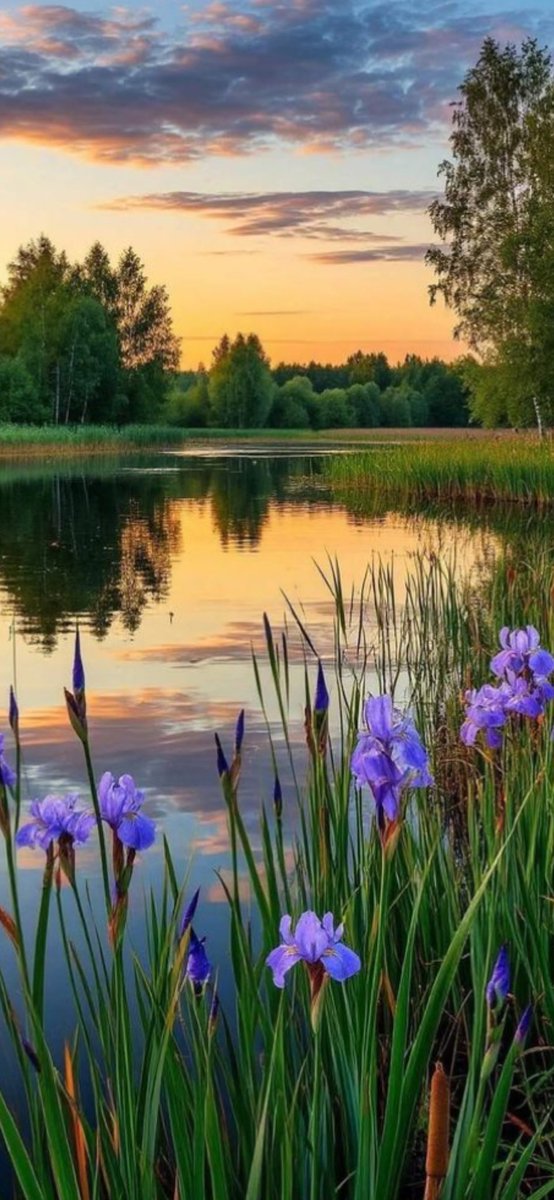 John van de Velde (@john_velde) on Twitter photo 