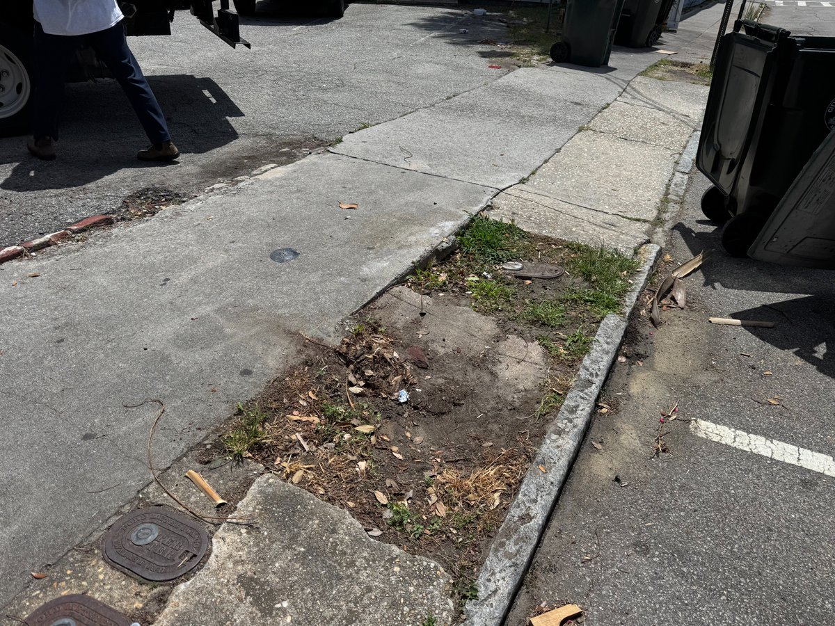 BDJunkremoval's tweet image. Swipe to Clean: Curb Cleanup Edition
Where junk disappears like magic✨

💪 Real cleanups. Real satisfying.
📍 Charleston, SC
☎️ 843-920-JUNK

#JunkRemoval #CleanOutCrew #DeclutterYourLife #SwipeToClean #BeforeAndAfter #JunkBeGone #TidyTransformation #ClutterFree #TrashToClean