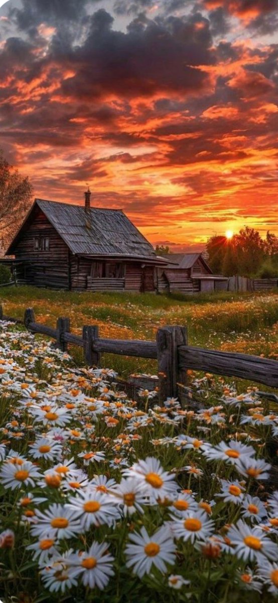 John van de Velde (@john_velde) on Twitter photo 