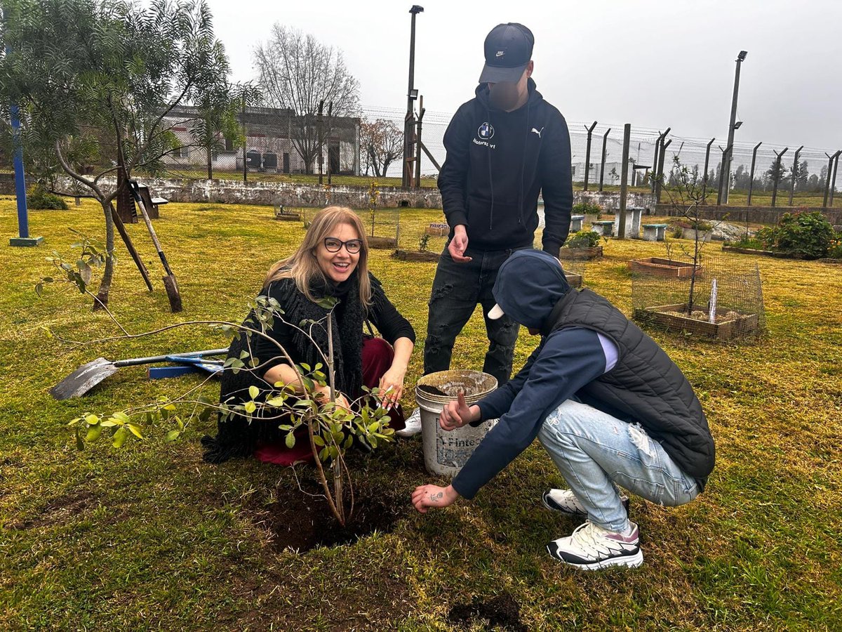 En la huerta “Cosechando Libertad” de la Colonia Berro, adolescentes inauguraron un gallinero construido con apoyo de Claydss Uruguay.

La jueza Dra. Patricia Borges participó del acto, plantó un guayabo y alentó a los jóvenes a seguir formándose. También se entregaron diplomas.
