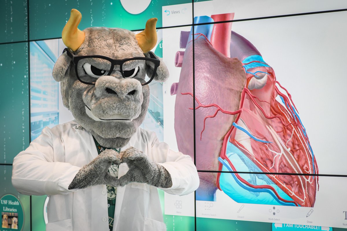 USFHealthMed's tweet image. Look who made his rounds at MCOM! @RockyD_Bull stopped by to get a first-hand look at how we train our #futuredoctors. @USFHealth