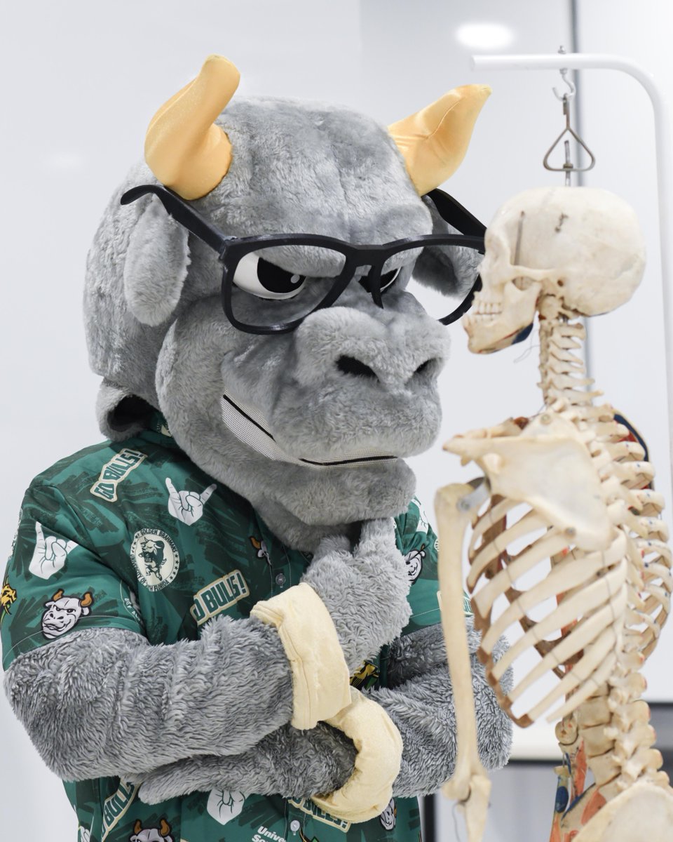 USFHealthMed's tweet image. Look who made his rounds at MCOM! @RockyD_Bull stopped by to get a first-hand look at how we train our #futuredoctors. @USFHealth
