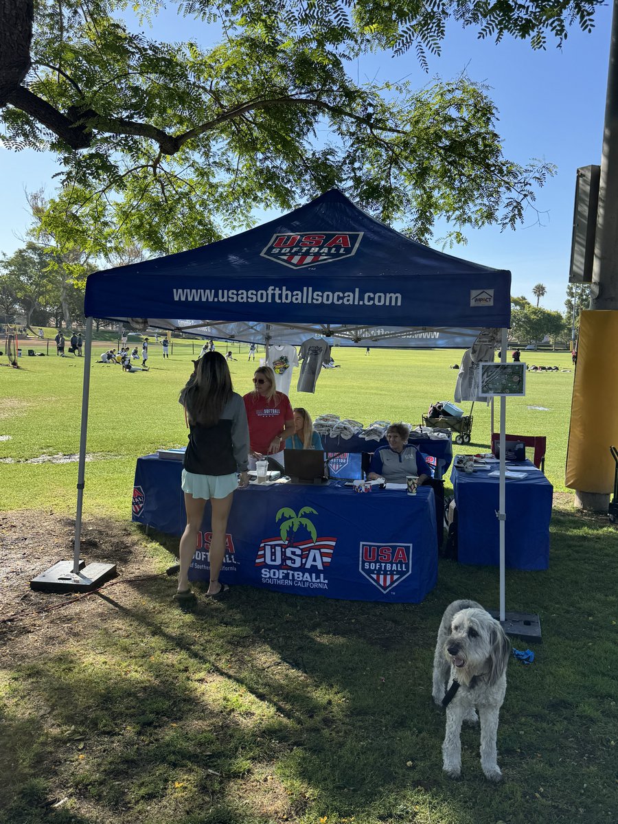 ChampCupElite's tweet photo. Rise and shine, it’s #ChampCupElite time! 💪🥎 https://t.co/g62DhaBLZv