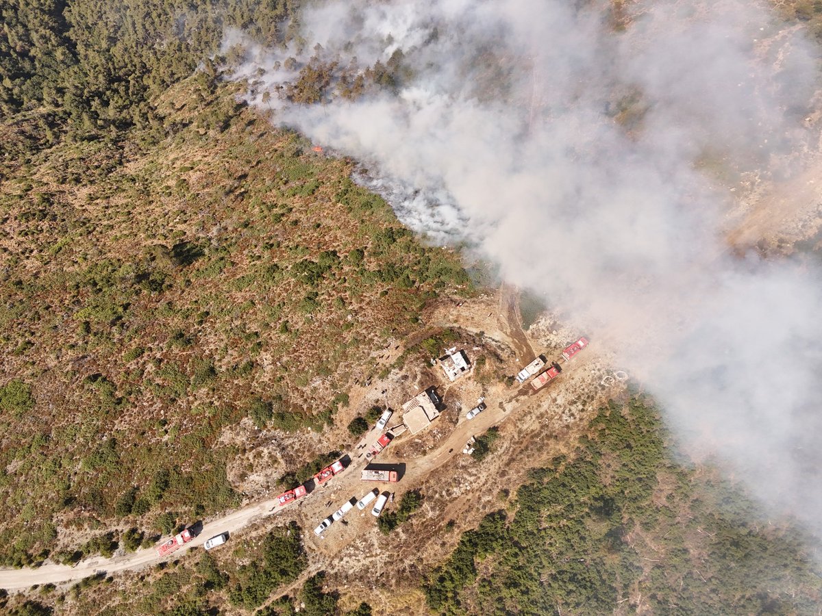 SyriaCivilDef's tweet photo. Mr. Raed Al Saleh, Minister of Emergency and Disaster Management, is closely monitoring the response to the massive wildfires in rural #Latakia today, Wednesday, July 9, alongside the Director of the Syria Civil Defence and field operations leaders. The follow-up includes oversight of joint operations room plans, the division of response sectors, and coordination of logistical and aerial support for firefighting teams on the ground. Efforts are also underway to isolate green areas and open firebreaks using heavy engineering machinery to prevent the further spread of the flames. The intensity of the fires has been exacerbated by strong winds and extremely rugged mountainous terrain this afternoon, prompting an escalation in efforts to suppress active fire fronts.
#WhiteHelmets #Syria