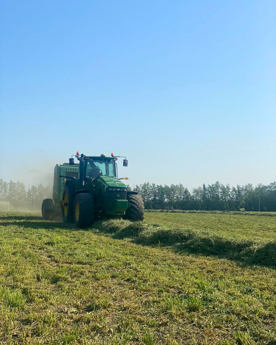 CNDHayAndSilage's tweet image. Long days. Dusty fields. And rows of bales ready for wrap.

CH&amp;amp;S is here with farmer-approved and field-tested bale wrap &amp;amp; storage to help you protect what you’ve worked so hard to make.
Get in touch with us today📞780.206.4666.
#baling #haying #agriculture #canadianhayandsilage