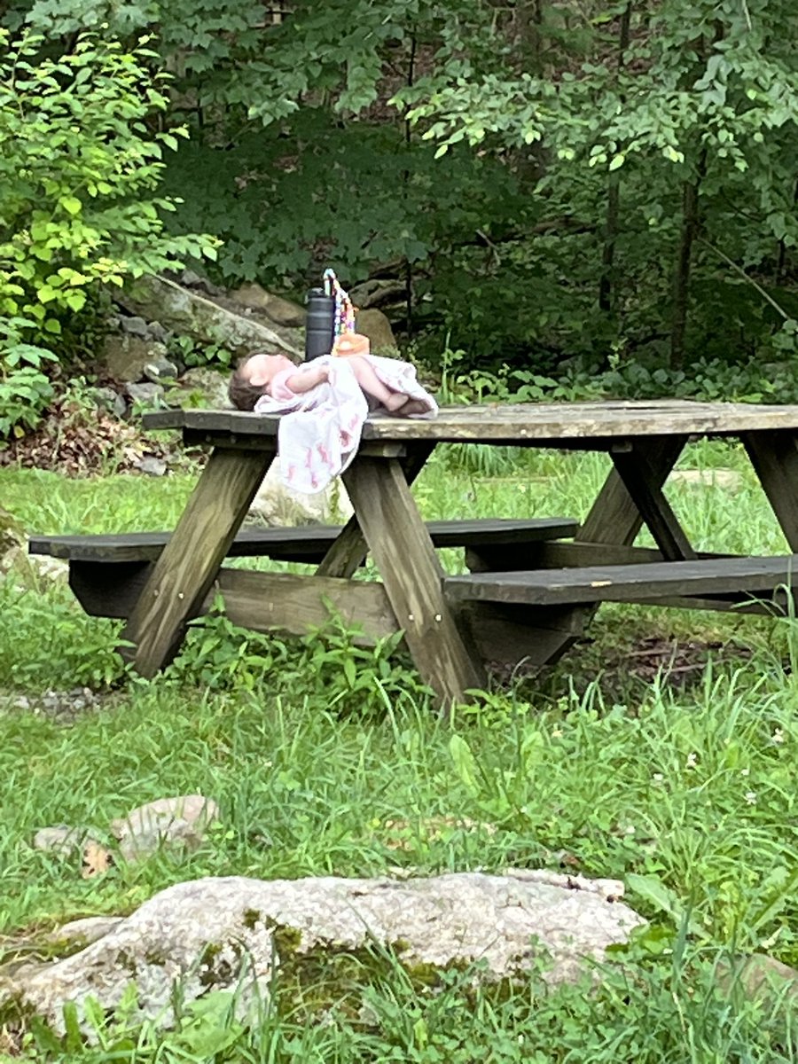 piratey's tweet photo. Had myself a heart attack this morning.
The ol baby on a picnic table https://t.co/VF5AIIPDaM