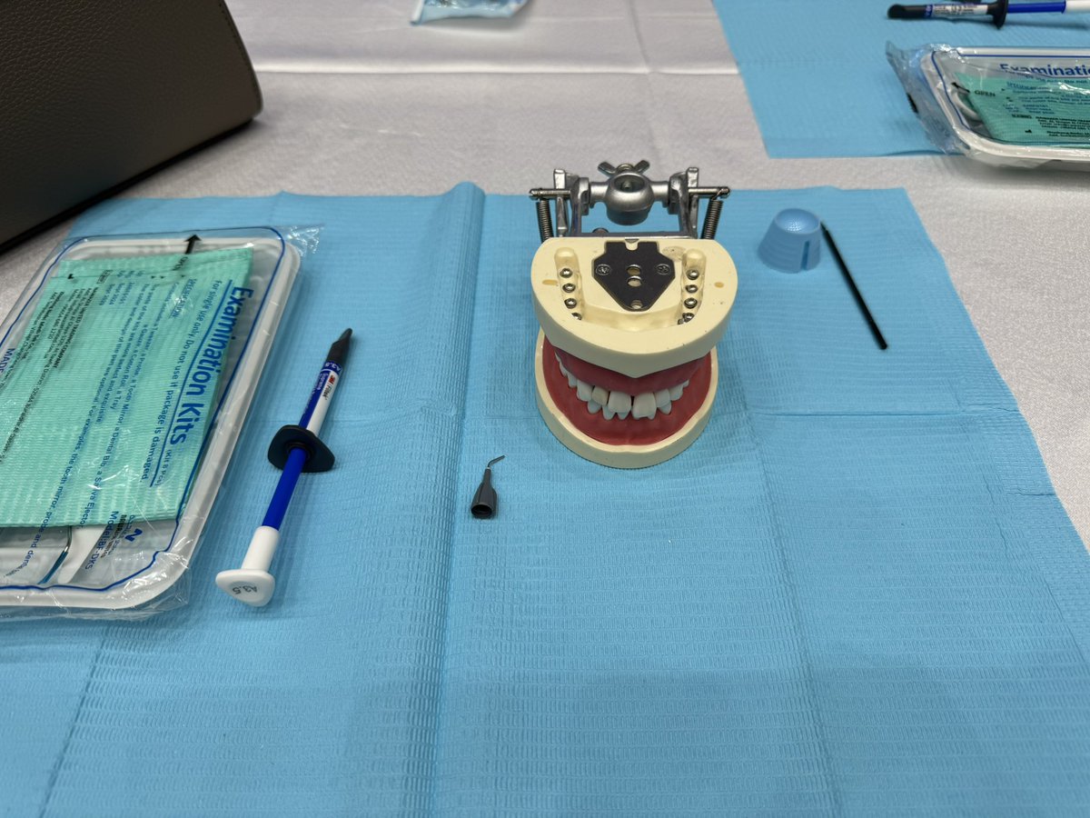 I had the privilege of attending the workshop “Dental Trauma: From Playground to Practice” 

led by Dr. Mannaa Al-Dowsari and Dr. Abeer Al-Shami, which imparted essential knowledge and practical strategies for managing pediatric dental trauma.