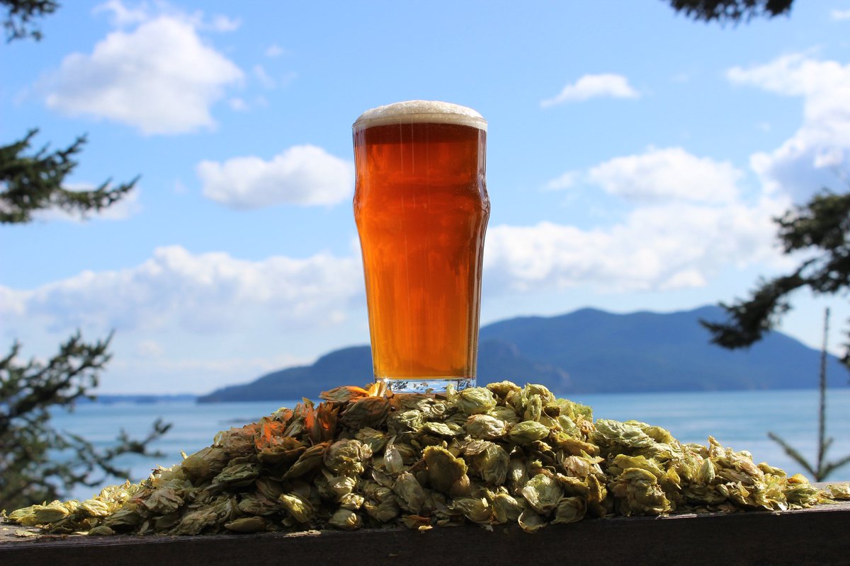 ☀️🍷What better way to spend an afternoon than relaxing at a local brewery or winery? 

➡️ Check out our Local Liquid Arts itinerary to find your new favorite spot: visitsanjuans.com/local-liquid-a…

#VisitSanJuans