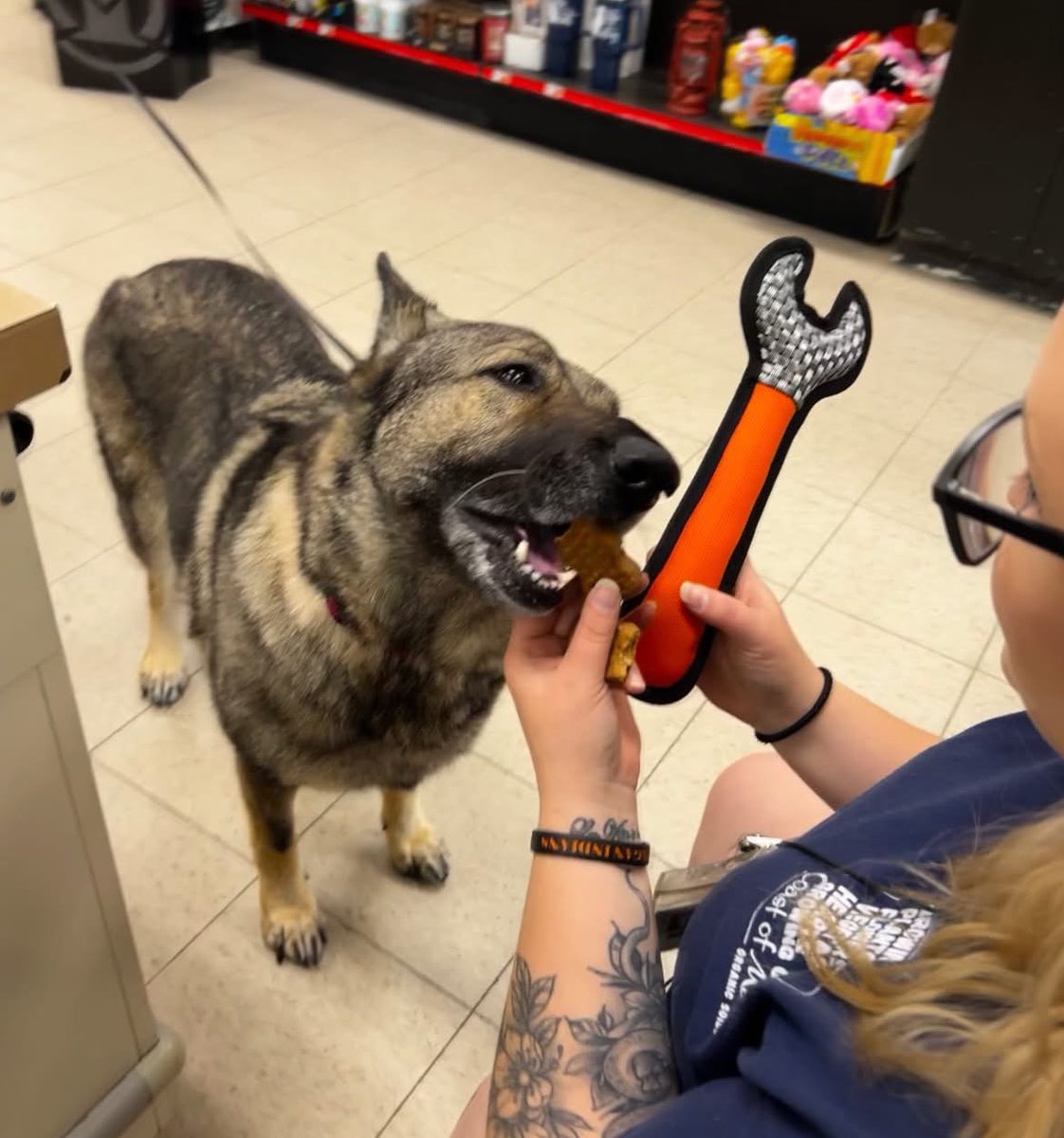 AubuchonHrdware's tweet image. Every good hardware store trip includes a little something for your dog too 🛠️