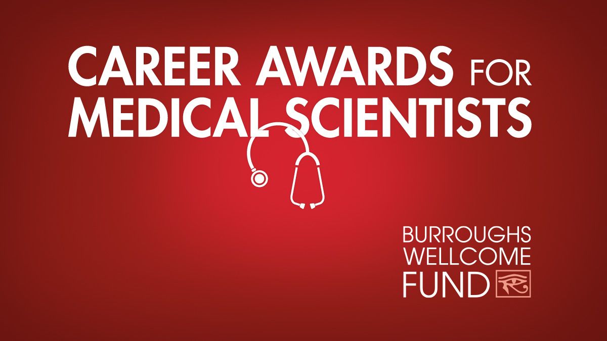 BWFUND's tweet image. Application now open: Career Awards for Medical Scientists (CAMS) is a highly competitive program that provides $700,000 awards over five years for physician-scientists, who are committed to an academic career. buff.ly/VdljzxQ #bwfcams