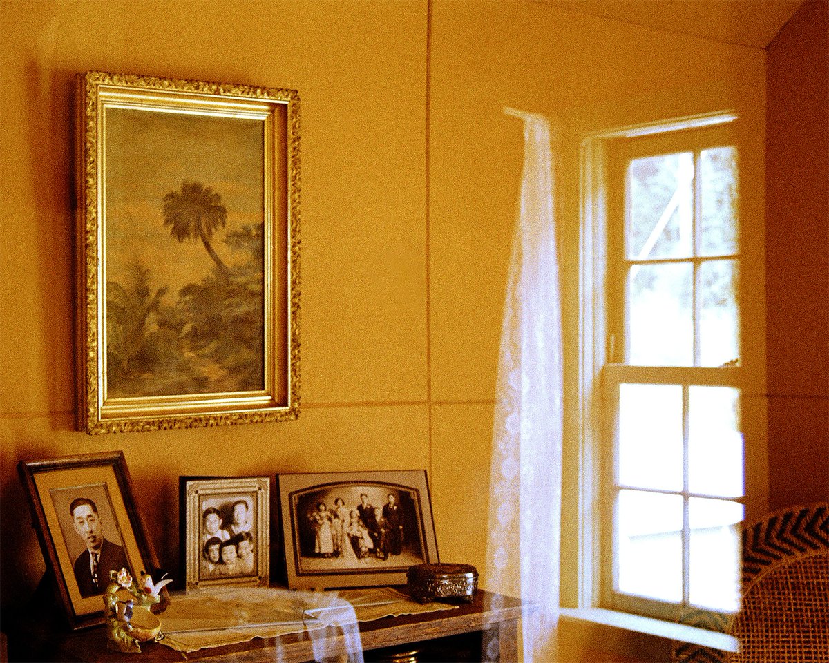 PhotoED Magazine tweet media