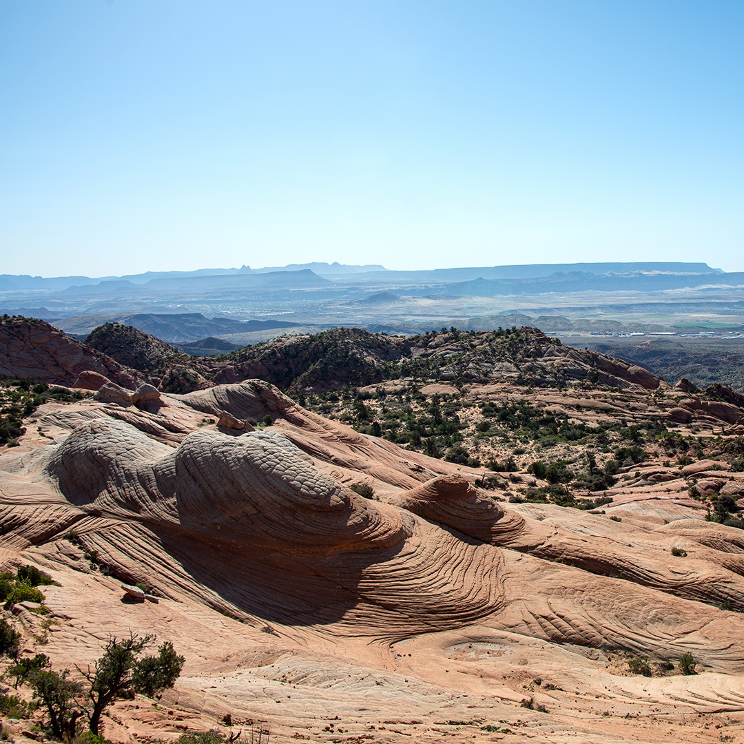 NateyesPhoto's tweet image. Candy Cliffs, Utah State Park

A great hike and absolutely stunning scenery

#nature #utah #candycliffs #naturephotographer #wanderlust #traveltheworld