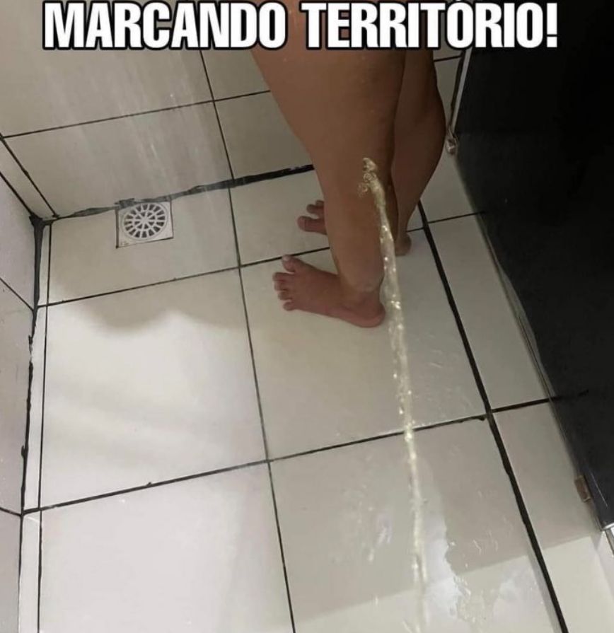 memes extremamente horríveis (ou bons) (@memes_horriveis) on Twitter photo 