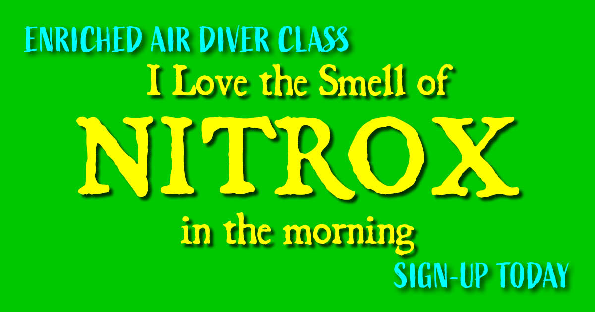 Dive Rinse Repeat Scuba tweet media