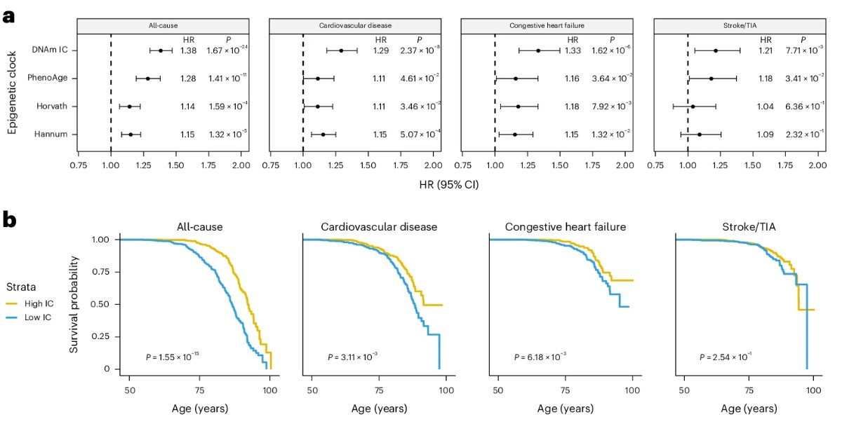NatEyeInstitute's tweet image. A new DNA-based “epigenetic clock” may help predict how well you’ll age (think mobility, vision, and independence). A simple blood test could offer powerful insights into future health.
brnw.ch/21wU19g
#AgingWell #HealthyAging #ResearchNews #VisionResearch #VisionNews