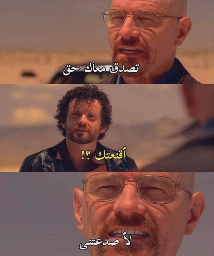 True Memes (@truememes_) on Twitter photo 