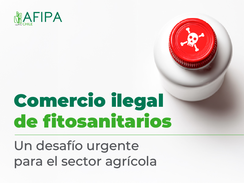 afipachile's tweet photo. El comercio ilegal de plaguicidas sigue creciendo y afecta directamente al agro, la salud y el medioambiente. En #AFIPA creemos urgente reforzar la fiscalización y la coordinación para enfrentar este problema. 
Lee más👉 https://t.co/eJ1V5yVJiJ
#ComercioIlegal #Fitosanitarios https://t.co/YTod5LTpZM