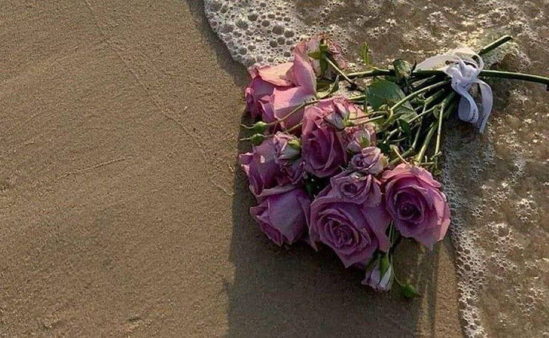 -

-بعض اللحظات تشُبهنا، هادئة، نقيّة، ومليئة بالحب 💜.

-