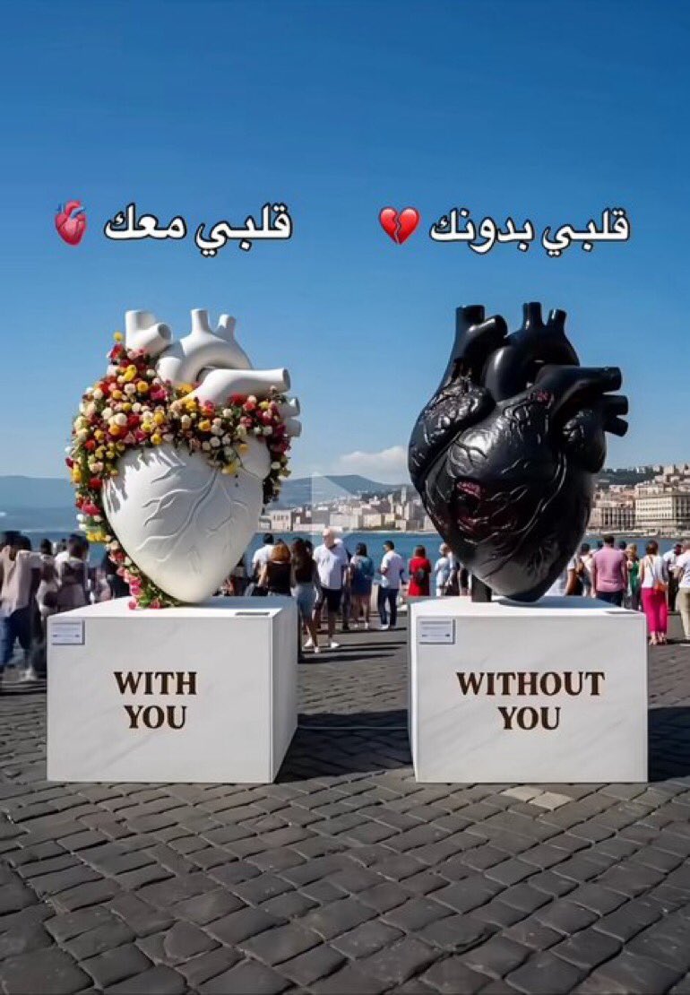AFO5l's tweet image. قلبي معك 🫀