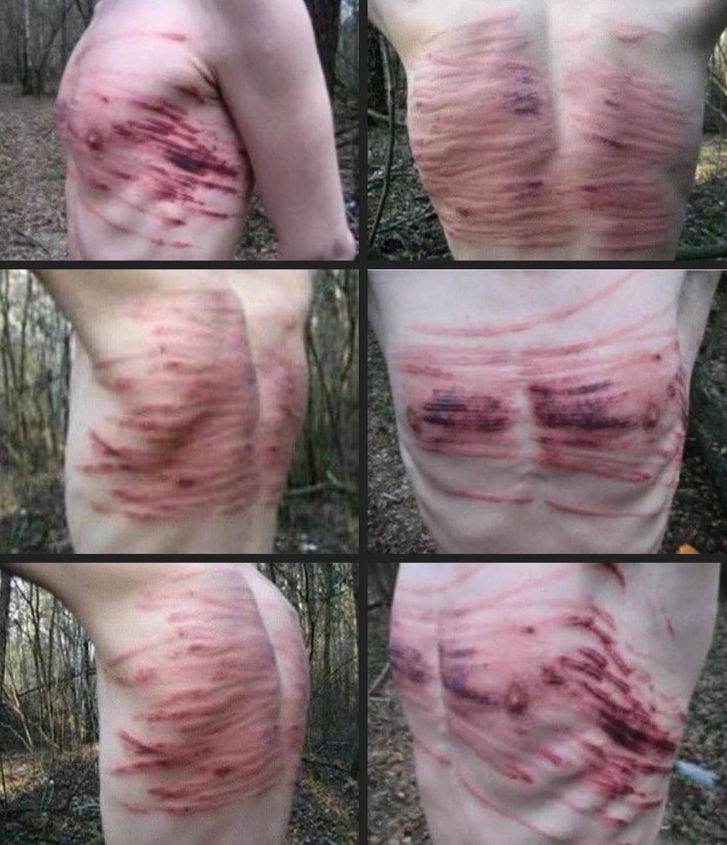 kidnapping a pretty boy and doing this to him in the woods mhmm mhm