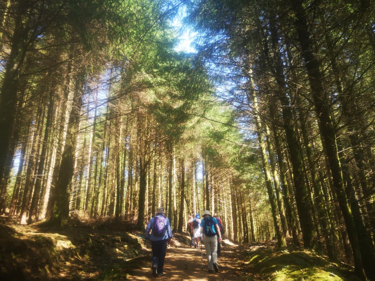 Amazing day to walk over the Knockmealdowns along St Declan's Way. Sur you'd have to rest the feet and take in the view 🌅🌀😎 #stdeclansway #celticwaysireland #privatetour #bespoke #pilgrimage #vacation