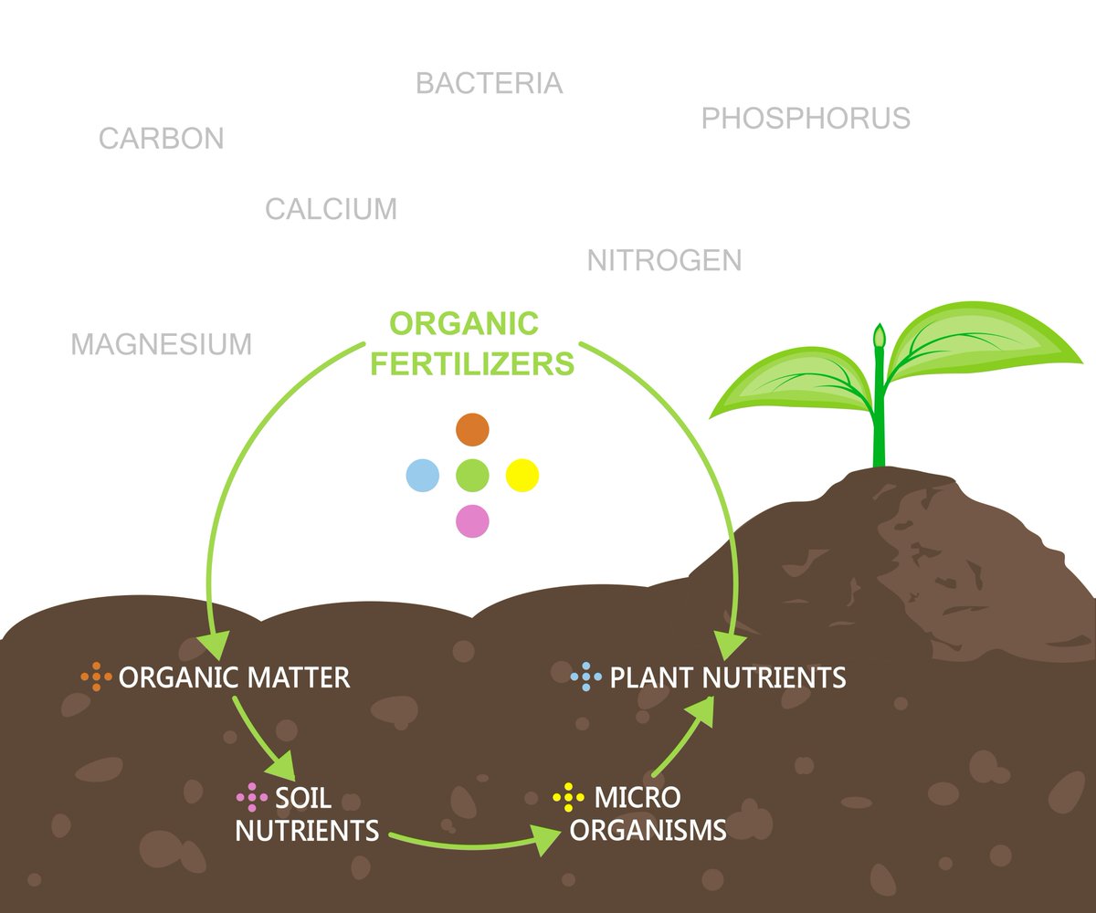 Rep_Nutrients's tweet photo. Replenish has always been a leading advocate of a "balanced diet" of macro and micro nutrients that support soil health. 

The Replenish product line is rich in many of the key macro and micro nutrients needed for optimal soil biological activity and soil health, leading to healthy plants and crops!