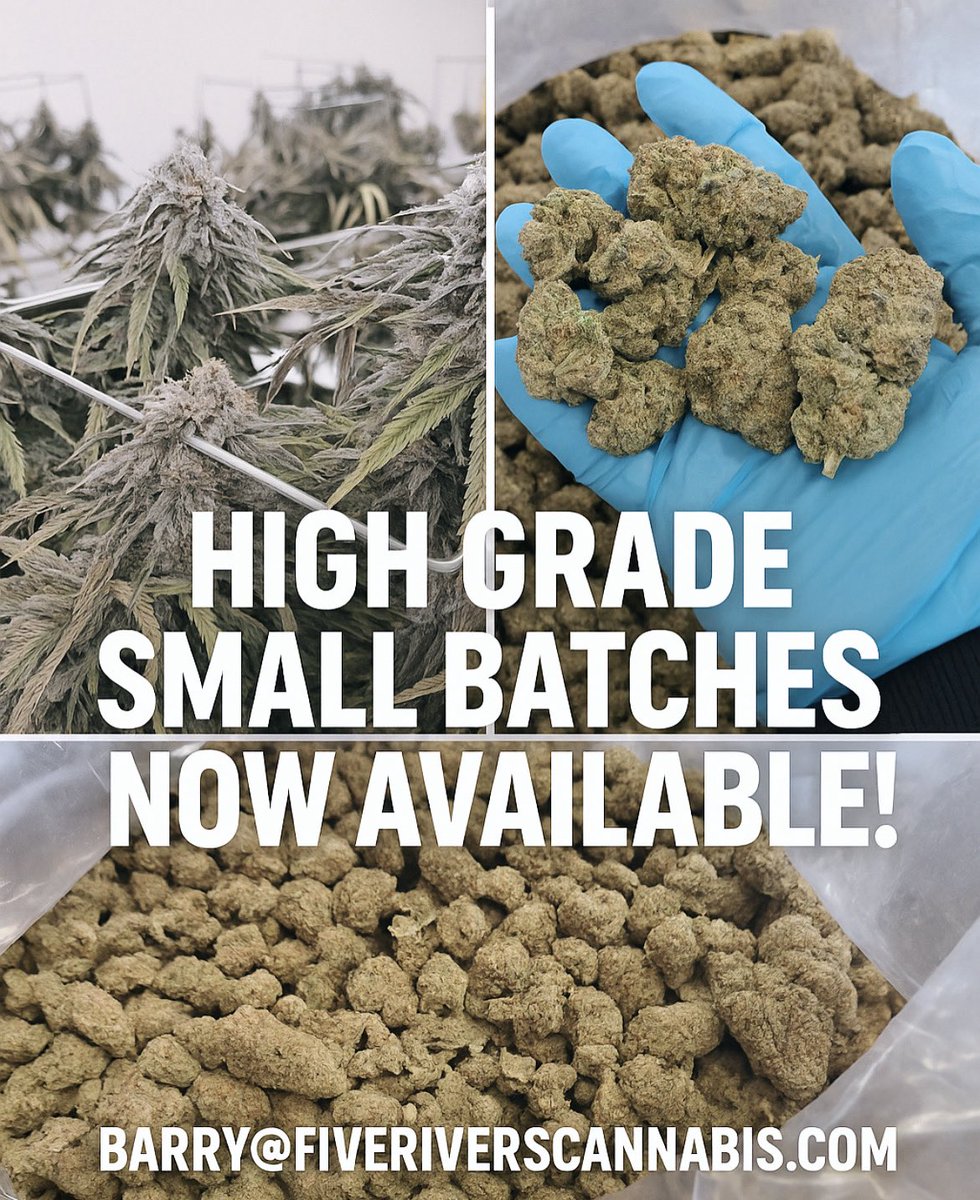 FiveRiversCan's tweet photo. Contact barry@fiveriverscannabis.com to purchase small batches of high grade cannabis https://t.co/rEcISxQVE9