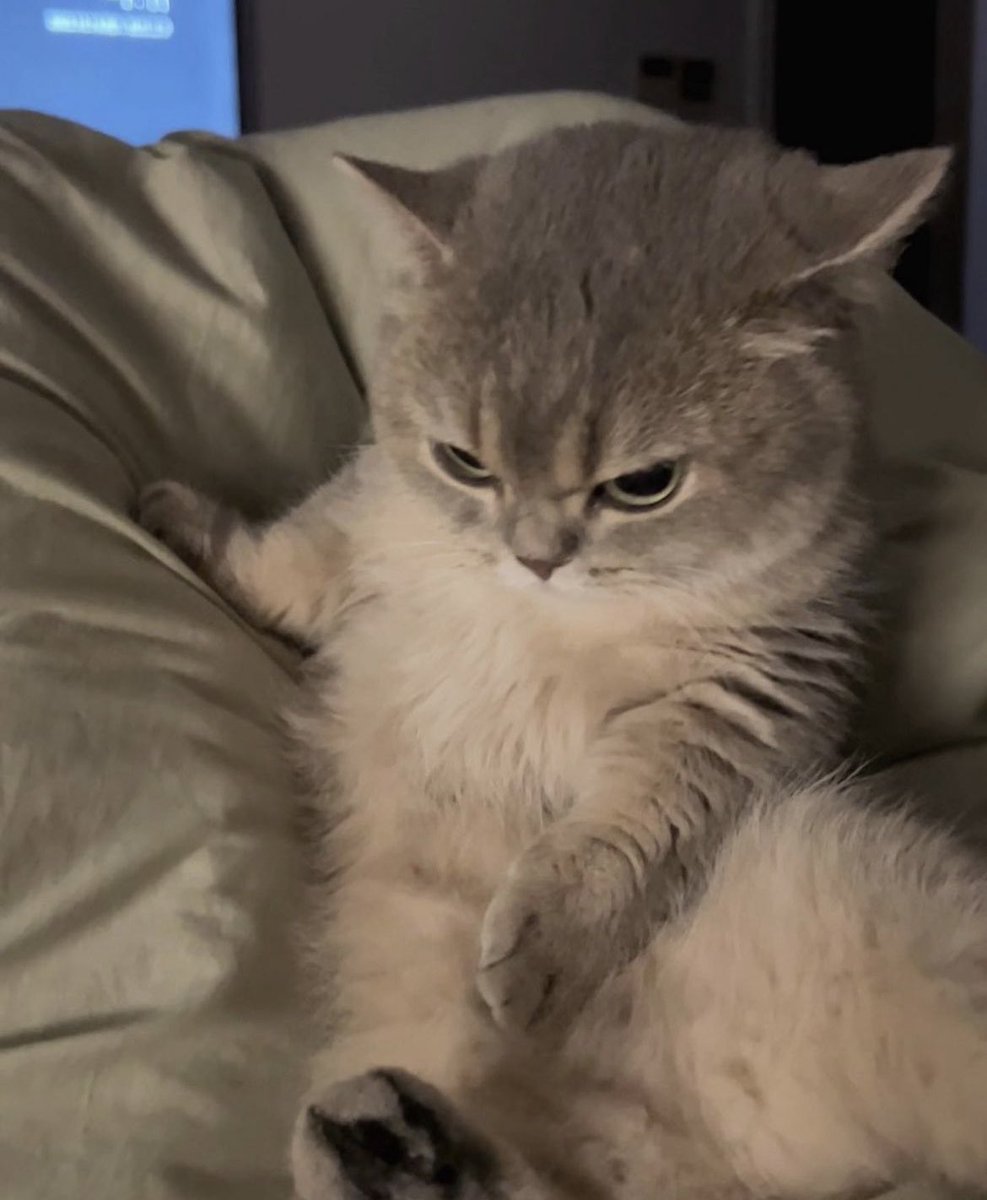 oatmewk's tweet image. Mood
